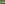 Die ganze Vegetation ist mit frischer Vulkanasche bedeckt. Zu unserem Glück gab es gestern Nachmittag ein heftiges Gewitter mit sehr, sehr, sehr starkem Regen, der die ältere Asche weggespült hat. Daher wissen wir ganz sicher, dass diese Asche letzte Nacht gefallen ist und erst ein paar Stunden alt ist.