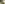 Wir fegen die frische Vulkanasche vom Wellblechdach in den Probenbeutel. Um genug Material für unsere Analysen sammeln zu können, suchen wir uns große Oberflächen mit einer feinen Ascheschicht, die wir abfegen können.